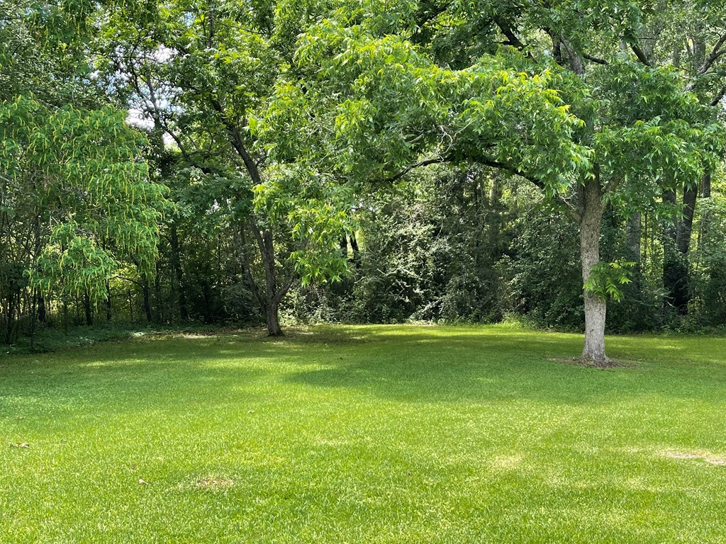 Lots of natural privacy in the backyard